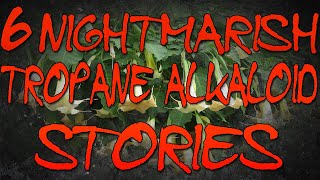 6 Nightmarish Tropane Alkaloid Stories (Datura, Brugmansia, Belladonna)