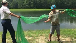 如何撒网捕鱼 how to cast net （8ft net)