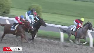 川崎競馬ダイジェスト（2023年9月12日（火））