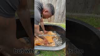 Outdoor Mushroom Growing Made Easy