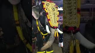 Unnimangad Ganapathi- Royal Mass Entry