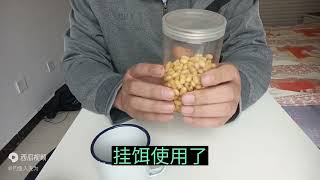 黄豆制作成饵料，制作过程一学就会，专钓鲤鱼和草鱼