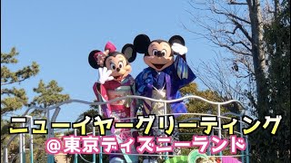 【東京ディズニーランド】2019年ニューイヤーズグリーティング！