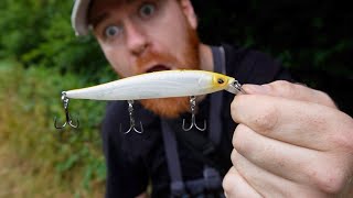 This lure catches EVERYTHING! Lure Fishing with Ginger Fisherman 🎣