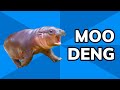 Moo Deng is the Cutest Hippo You’ve Ever Met | Meme History