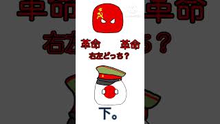 右左どっち？(革命or革命)【ポーランドボール】