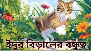 একটি ইঁদুর আর বিড়ালের বন্ধুত্ব || শিক্ষনীয় গল্প ❤️ || A friendship between a mouse and a cat ||