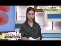 「いちごさん」の果汁を使ったグミ 28日から全国販売 その味は？【佐賀県】 23 08 28 18 40