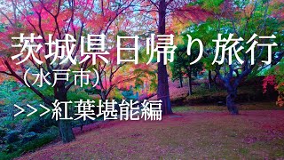 茨城県（水戸市）の紅葉堪能!!日帰り旅行編🍁1人旅🙌