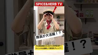 エスビー食品を探検します！【S\u0026B SPICE\u0026HERB TV】#shorts #スパイスハーブTV