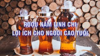 HP Cosmetics | Rượu nấm linh chi - Lợi ích cho sức khoẻ người cao tuổi