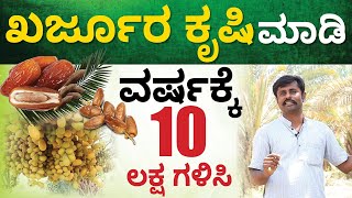 ಖರ್ಜೂರ ಕೃಷಿ ಮಾಡಿ ವರ್ಷಕ್ಕೆ 10 ಲಕ್ಷ ಗಳಿಸಿ -  Start Date Farming Earn 10 Lakhs Per Year