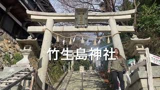 滋賀　彦根港【金運最強神社⛩️】船でしか行けない　竹生島に行ってきました