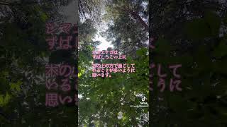 【スマホでシマエナガ撮影チャレンジ】