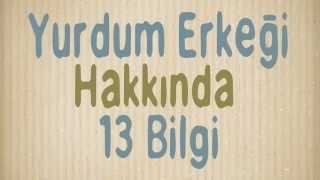 Ortalama Türk Erkeği Hakkında 13 Bilgi (Kendinizle Karşılaştırın)