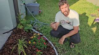 EasyFlex No-Dig Landscape Edging with Anchoring Spikes, 2.7 in Tall Decorative Stone-Look Border