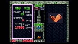 Puyo2 - Speedrun TsuMode NoRotation (28:44.18 PB)