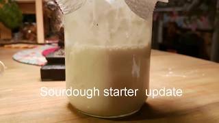 2 minute Tuesday video~ yogurt Sourdough starter update