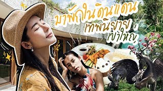 Vlog - ลุยดินแดนเทพนิยาย ณ เขาใหญ่ Hotel Labaris ถ้าอยากไป เราจะแจกกก!! ll Bivoyage