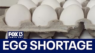 Bird flu brings egg shortage to some grocery stores