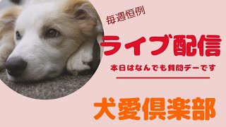 日曜定例ライブ1月5日　何でも質問デーです