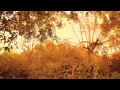 Samson- "Hello" (t2i) official music video