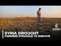 Syria faces worst drought in 40 years, threatening farmers’ livelihoods
