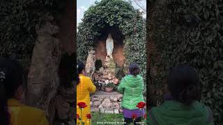 Oggi è la festa della Madonna di Lourdes  Regala una rosa a Madonna e chiedile un favore