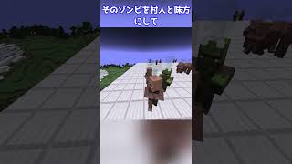 【検証】もしも村人がゾンビを攻撃できるようになったらどうなるのか？ #コマンド #マインクラフト  #ゆっくり #minecraft #ゆっくり解説