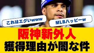 阪神に衝撃の新外国人！打率.313、22発の怪物スラッガー襲来！甲子園のスタンドを直撃する特大弾になるか...