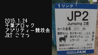 20150124 JRTこてつ アジリティー競技会 千葉ブロック JP2