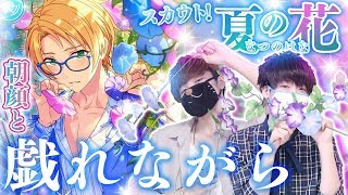 【あんスタ】朝顔と戯れながら“スカウト！夏の花”を引いてみた🏵【ガチャ実況】