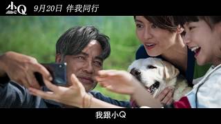 小Q (2019) 特辑