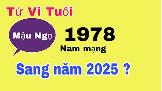 Tử vi tuổi Mậu Ngọ 1978 (nam mạng) bước tới năm 2025 sức khoẻ ,công việc và gia đạo sẽ ra sao ?