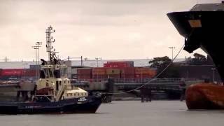 Thames Shipping by Richie Sloan, The M S C AZOV with Tugs.