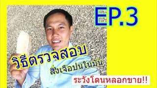 มันเส้น EP.3 เลี้ยงวัวหมู ต้องดู!!! คัดเลือกวัตถุดิบอาหารสัตว์  โคบาลบอย(เซี๊ยง วัตถุดิบอาหารสัตว์)