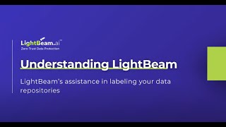 Understanding LightBeam: Labeling your Data Repositories