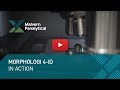 Morphologi 4-ID in action