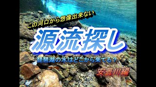 ＃琵琶湖＃水中映像【源流探し　安曇川編】