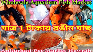 মাত্র 1 টাকা থেকে Aquarium Fish🐠🐠Ankurhati Pet Market🐠🐠 Howrah Fish Pet Market 🐠🐠