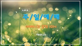 2022.8.14【주일예배】 나그네의 주막, (누가복음 10장25절-36절) 최대해 목사