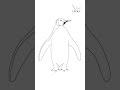 drawing penguin penguin birds howtodraw lidoartworks