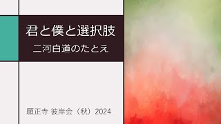 願正寺 彼岸会（秋）2024「君と僕と選択肢　二河白道のたとえ」