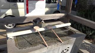 岡山県笠岡市　笠神社