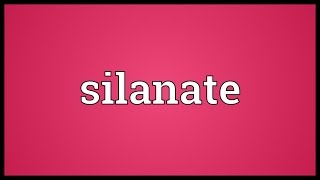 Silanate Meaning