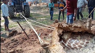 इस भयानक नाग को पकड़ने के लिए टैक्टर बुलाया गया। फिर देखिए आगे जो हुआ