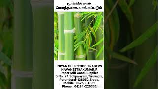 மூங்கில் மொத்தமாக வாங்கப்படும் #tamil #bamboo #Farming #Wood Traders #papermill #savuku #Munkil