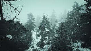 Snowstorm Blizzard Wind Sounds For Sleeping, Relaxing ~ Calm Snow Arctic Howling Winter Ambience
