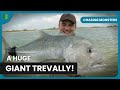 Expedition: Island Secret - Chasing Monsters - Fishing Show