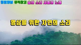 [뮤직창고]자연의 소리ㅣ새들의 노래ㅣ숲의 소리ㅣ바람 (고음질) | ASMR | 명상ㅣ깊은 잠ㅣ공부ㅣ집중ㅣ수면유도ㅣ치유 | Forest & Birds Singing